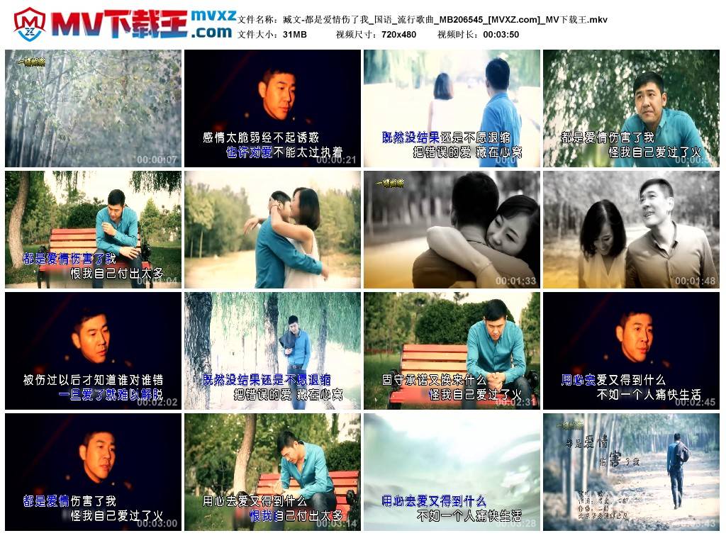 臧文-都是爱情伤了我_国语_流行歌曲_MB206545